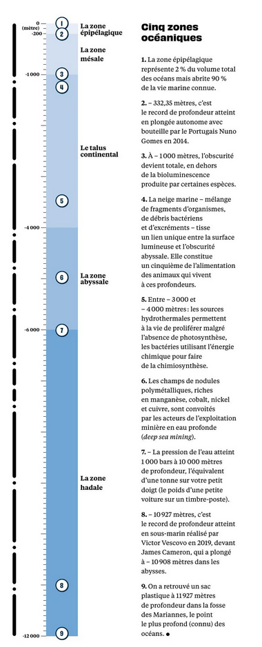 Les zones océaniques épipélagique mesale continentale abyssale et hadale