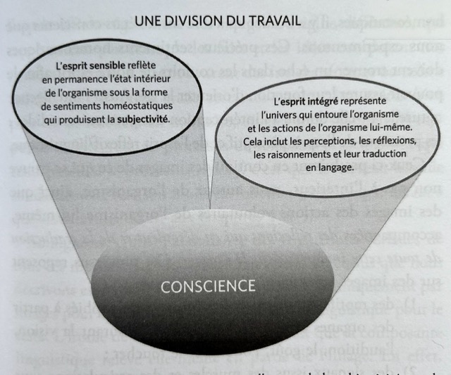 la conscience émerge de deux processus esprit sensible et esprit intégré