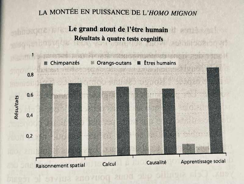 apprentissage social, point fort de l'être humain versus chimpanzés